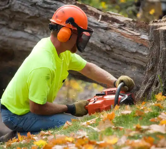 tree services St. Joseph